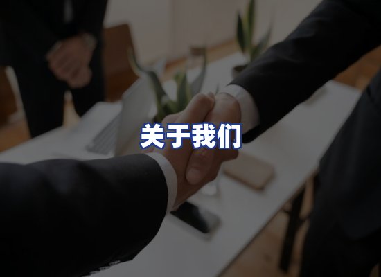 专业团队