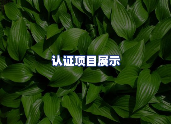 认证项目展示